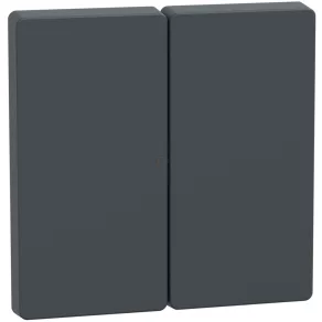   Schneider Electric Merten System Design - MEG3400-6034 - Buton dublu, antracit