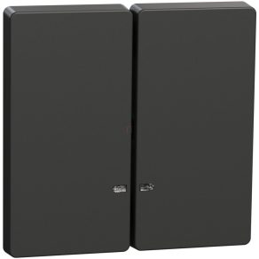   Schneider Electric Merten System Design - MEG3420-6034 - Cheie dublă, pentru funcții de semnalizare luminoasă, antracit