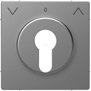   Schneider Electric Merten System Design - MEG3883-6036 - Capac pentru comanda rulourilor cu cheie, oțel