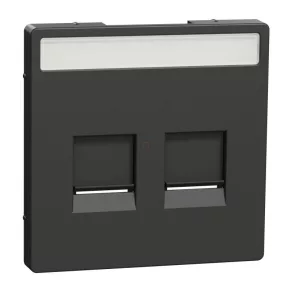   Schneider Electric Merten System Design - MEG4564-6034 - Capac pentru inserții modulare 2xRJ45, personalizabil, antracit