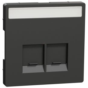   Schneider Electric Merten System Design - MEG4574-6034 - Capac pentru priză 2xRJ45, etichetabil, antracit