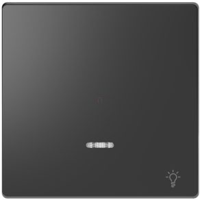   Schneider Electric Merten System Design - MEG3322-6034 - cheie cu indicator luminos pentru funcții de semnalizare luminoasă, antracit