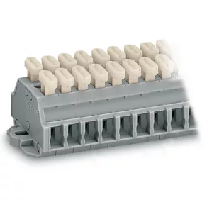 Bloc terminal cu 2 fire Wago, 12 poli, gri (261-432/341-000)