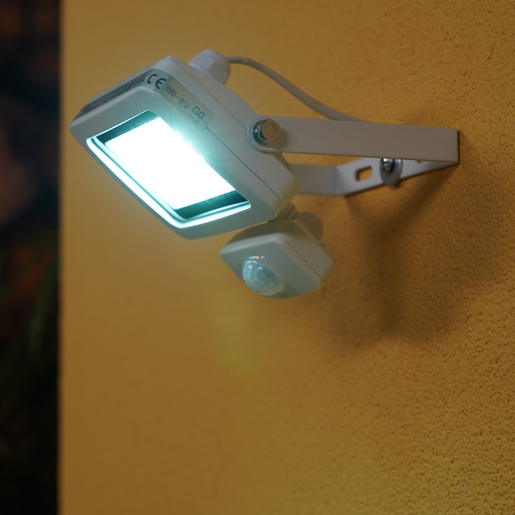Reflector LED cu senzor de mișcare 10W 900lm, lumină albă rece - Flare GAO 2707411010