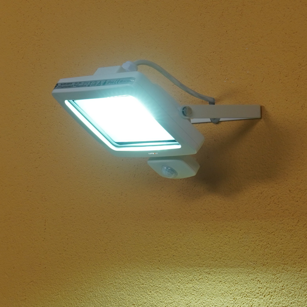 Proiector LED cu senzor de mișcare 30W, 2550lm, 6500K (Flare)