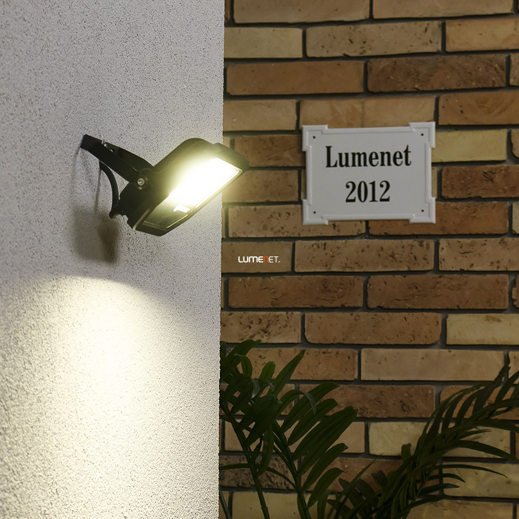 Ledvance LED reflector, alb cald, 30 W, negru (Floodlight)