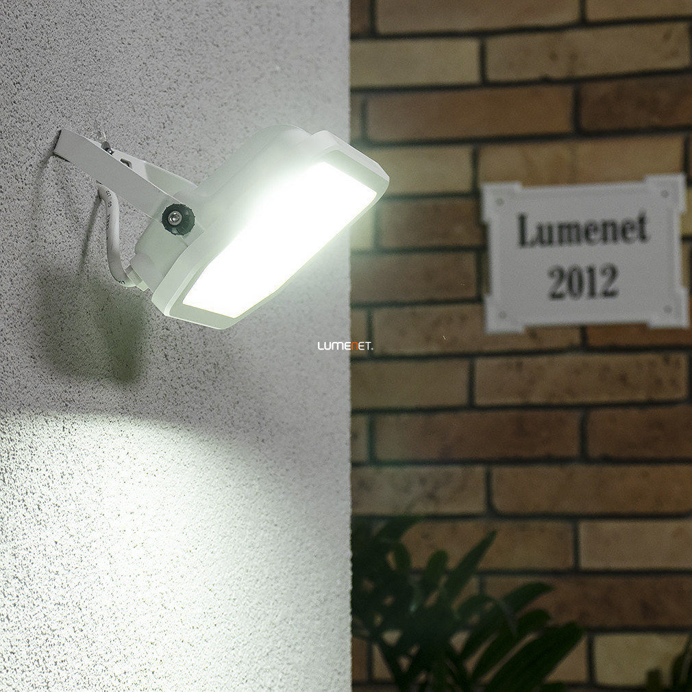 Ledvance LED reflector, alb rece, 30 W, alb (Floodlight)