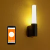 Ledvance Smart+ WIFI Flare RGBW lampă LED pentru exterior, montată pe perete, antracit, IP44, 7,5 W, 3000 K, 320 lm, 9,8 x 33,1 cm