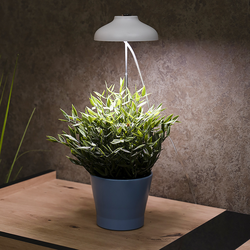 Ledvance LED-lampa de cultivare a plantelor, cu temporizator automat (Umbrella)