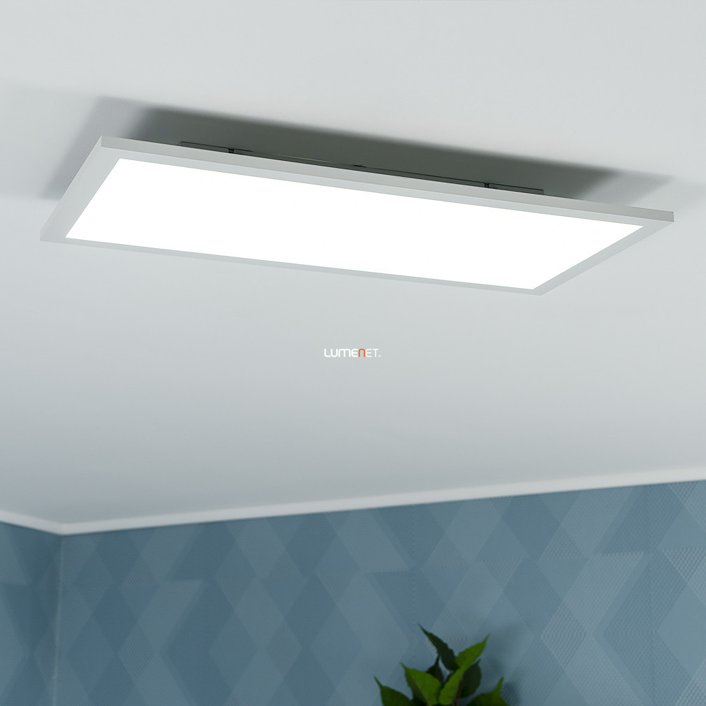 Panou LED Ledvance, alb rece, 22 W, 30x59,5 cm (Planon Plus)
