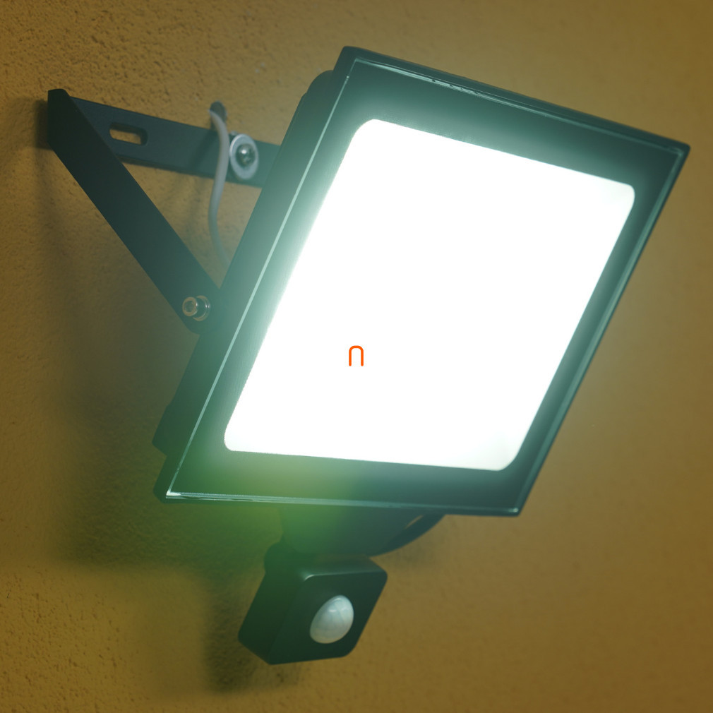 Ledvance reflector LED cu senzor de mișcare 100 W, alb rece (Essential Floodlights)
