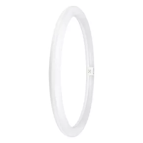   Tub LED circular G10q 24 W 2900 lm 4000 K T9 C 40 EM V 24 W 840 4099854042560