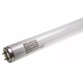   Sylvania 0001638 Tub fluorescent 40 W 2F/T12 pentru capcană de insecte, 590 mm, BL368
