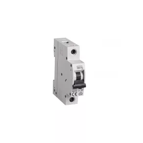 Întrerupător mic 1P C 6A 6kA