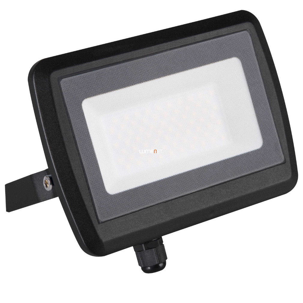 Proiector LED 10W, 800lm, 4000K