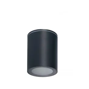 Lampă de tavan pentru exterior, gri - Kanlux 33362