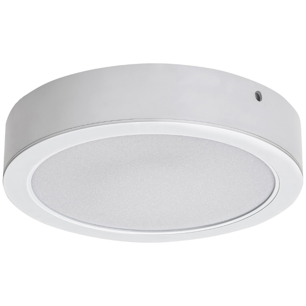 Plafonieră LED rotundă, lumină albă caldă, 24W, 22 cm (Shaun 2)