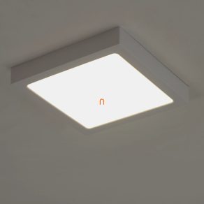   Lampă LED de tavan, lumină albă caldă, 24 W, 22 x 22 cm - Shaun 2 Rábalux 071209