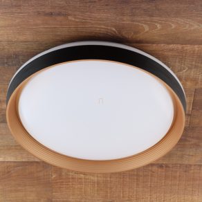   Lampă LED de tavan cu telecomandă, 50 cm - Ladan Rábalux 71308