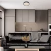 Lampă LED de tavan pentru baie, culoare neagră - Larcia Rábalux 75009