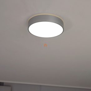 Plafonieră LED argintie pentru baie - Larcia Rábalux 75010