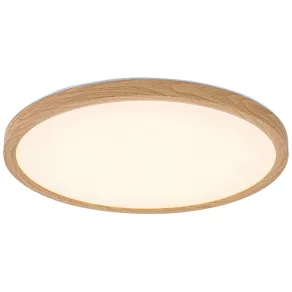   Lampă LED de exterior cu intensitate reglabilă, montată pe tavan, 24 W, 2030 lm, 3000-4000-6500 K - Lautrec 75085 Rábalux