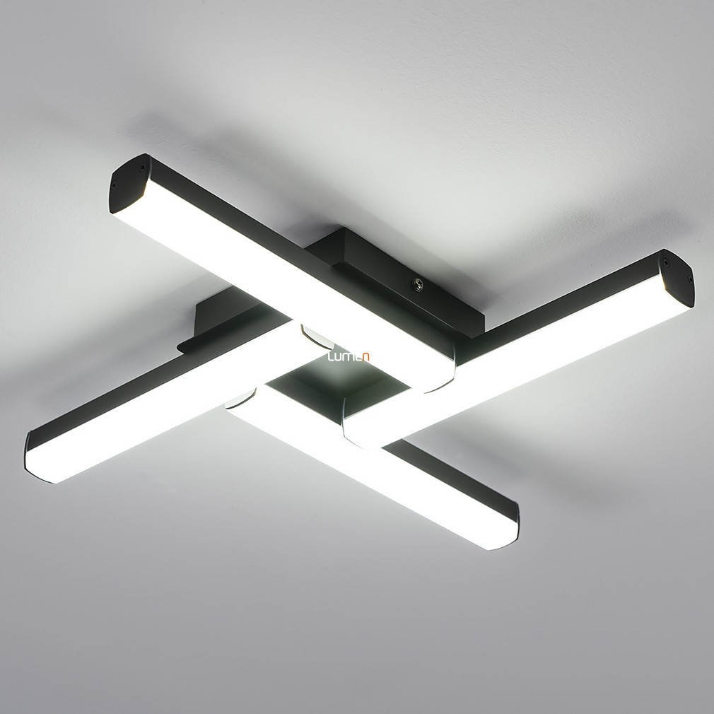 Lampa de tavan LED pentru baie, culoare neagră - Evan Rábalux 2168