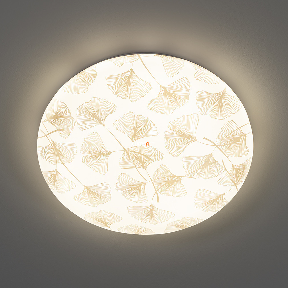 Lampa LED de tavan cu frunze de ginkgo - Benita Rábalux 3076