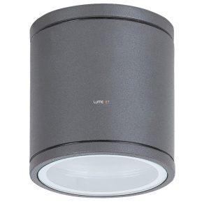 Lampă de tavan pentru exterior - Akron Rábalux 8150