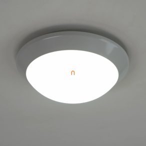   Corp de iluminat LED, rotund, opal, 14 W, 1400 lm, 4000 K, 180 grade, IP54, 240 V - Nelly deLux DEL1050