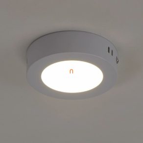   Panou LED pentru pereți rotunzi, 6W, 420lm, 3000K, IP20, D: 120mm - deLux DEL1325