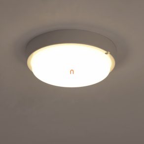   Corp de iluminat LED pentru tavan, cu intensitate reglabilă, 10 W, 3000-6500 K, IP65 - Gamma Simotrade 70101000518