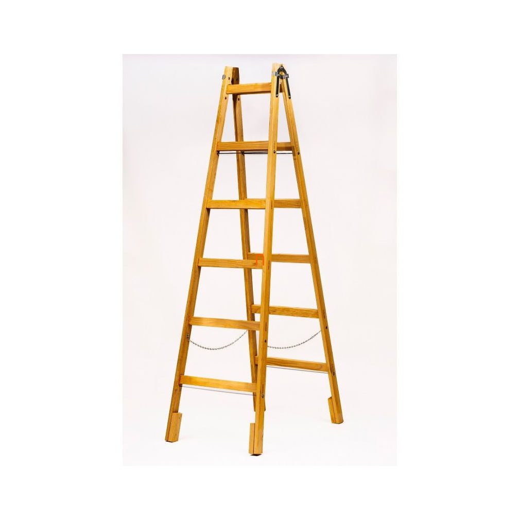 Scara electrică pentru electricieni, 6 trepte, 222 cm, model consolidat, cu cârlig GREENWOOD
