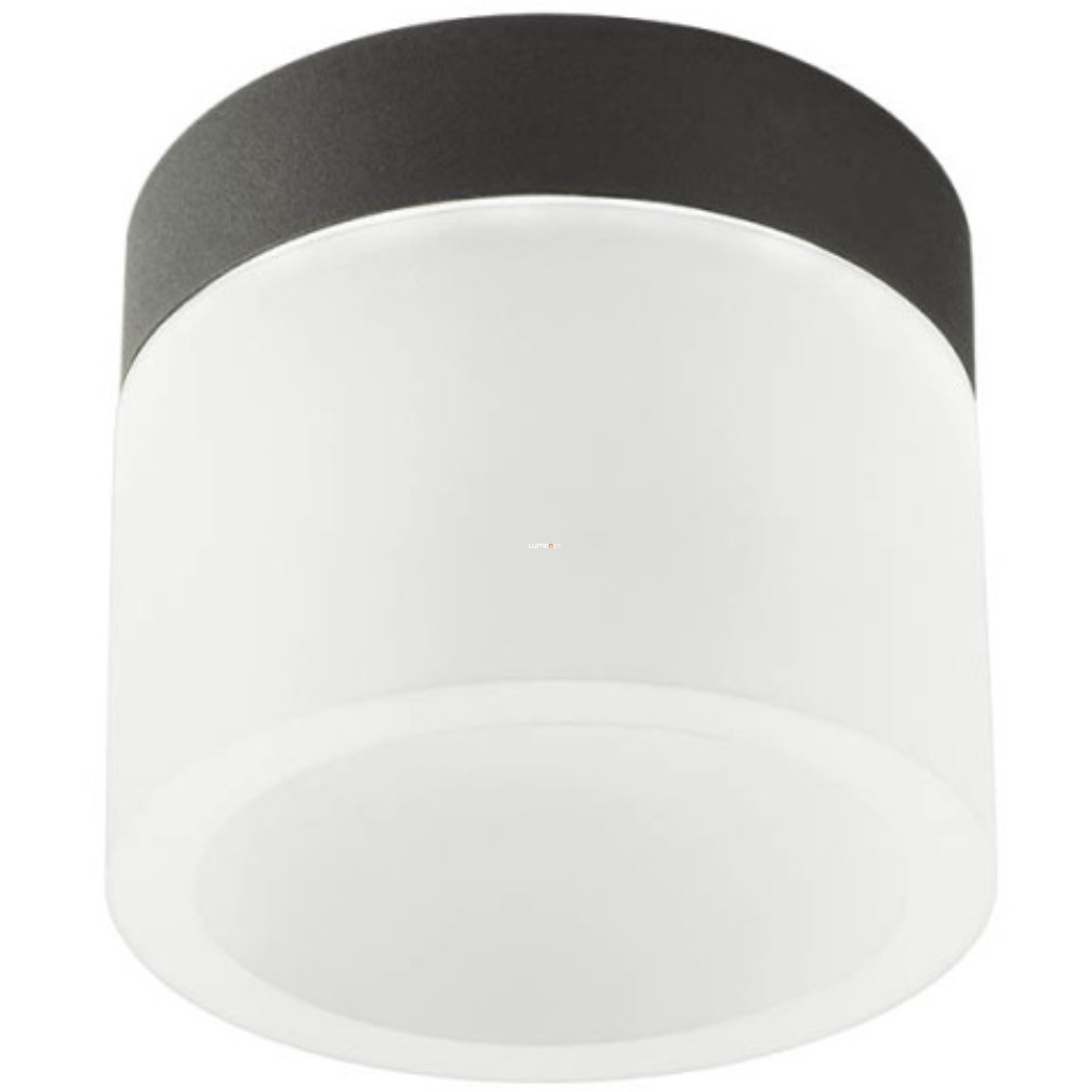 Spot LED de tavan reglabil cu ramă neagră, alb rece-alb cald - Naida Redo 01-3359