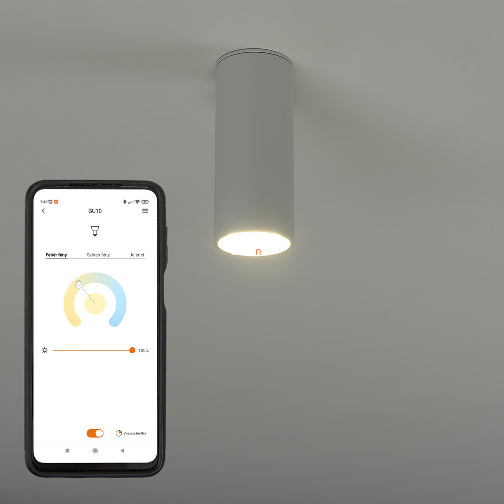 Connect Smart LED spot lampă 4,7 W, alb rece-cald, culoare albă - Stag Lutec 8304801446
