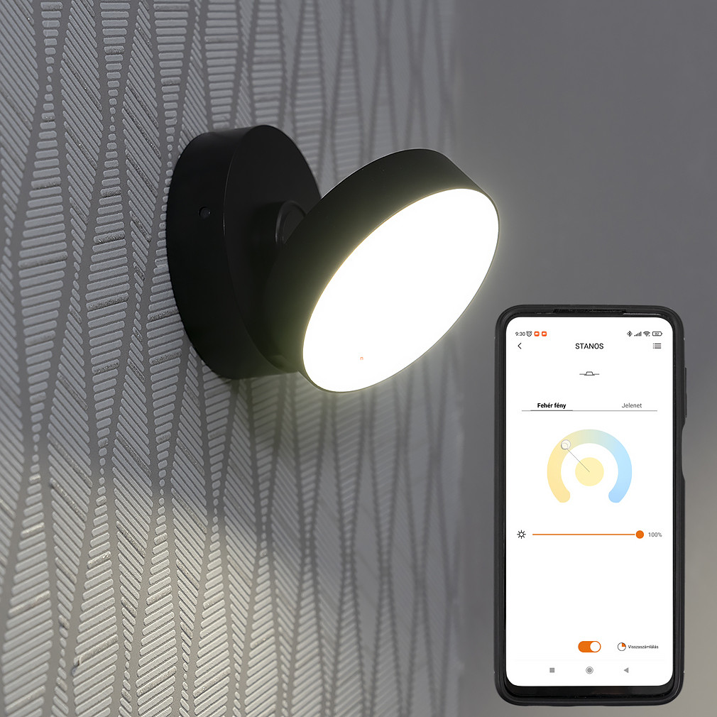 Connect Smart LED spot luminos 8 W, alb rece-alb mediu, negru (Stanos)