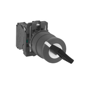   Schneider Electric Harmony XB5 - XB5AG25 - întrerupător complet din plastic, Ø22, cheie 458A, 2 poziții, 2NO