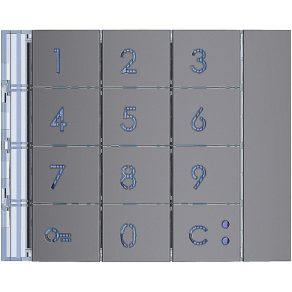   BTICINO 353003 Placă de acoperire pentru modul cu buton, culoare închisă