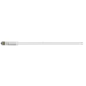 Living Light LED de fundal alb LN4743/12T