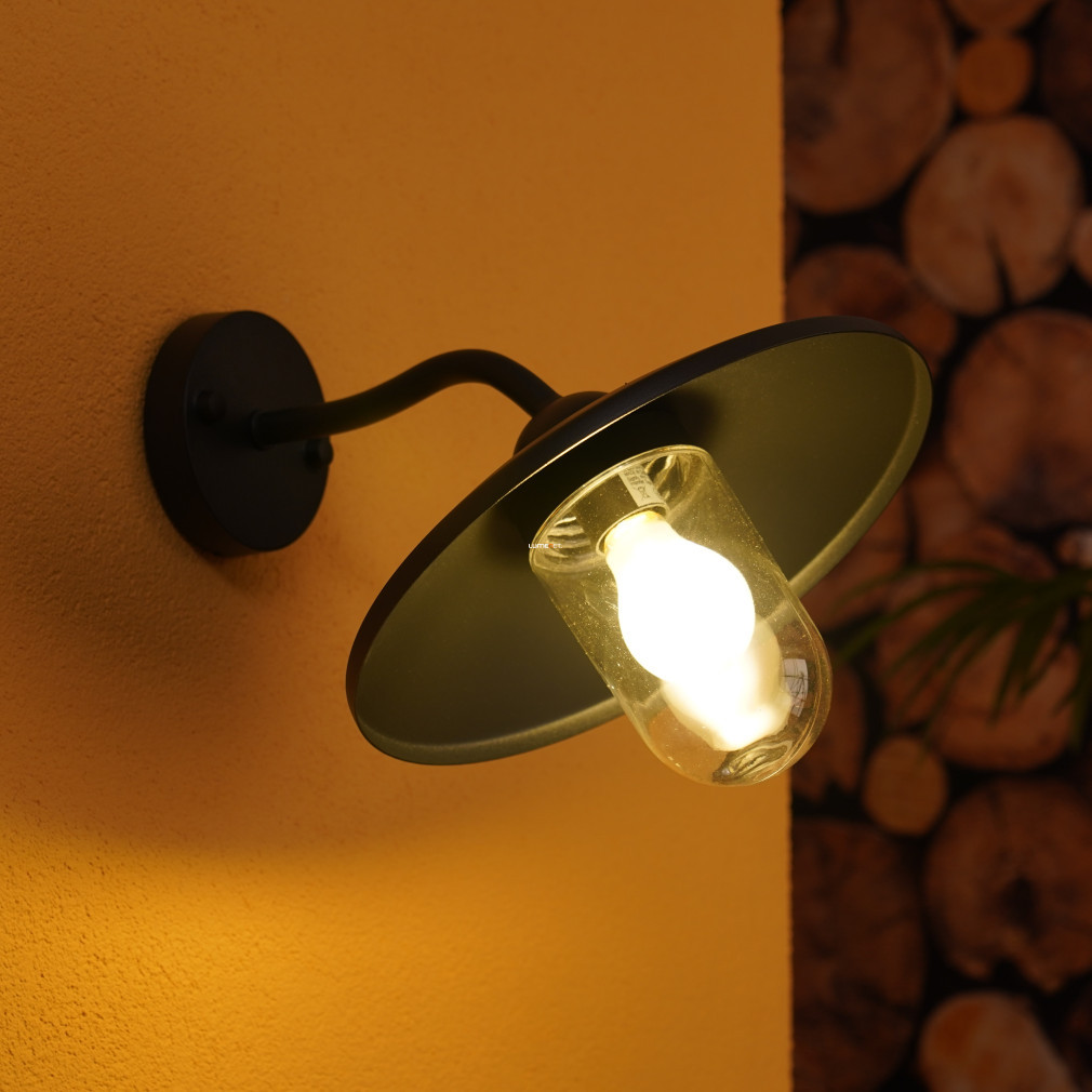 Philips lampă de perete pentru exterior (Hammock)