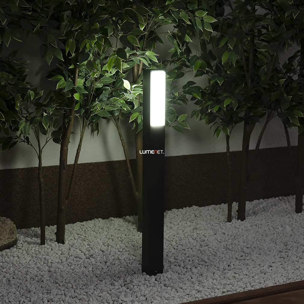 Philips lampă LED de exterior, alb rece, 2x 4,5 W (Stratosphere)