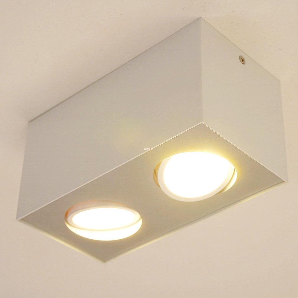 Spot LED de tavan Philips 2x4,5W 1000lm (myLiving Box)