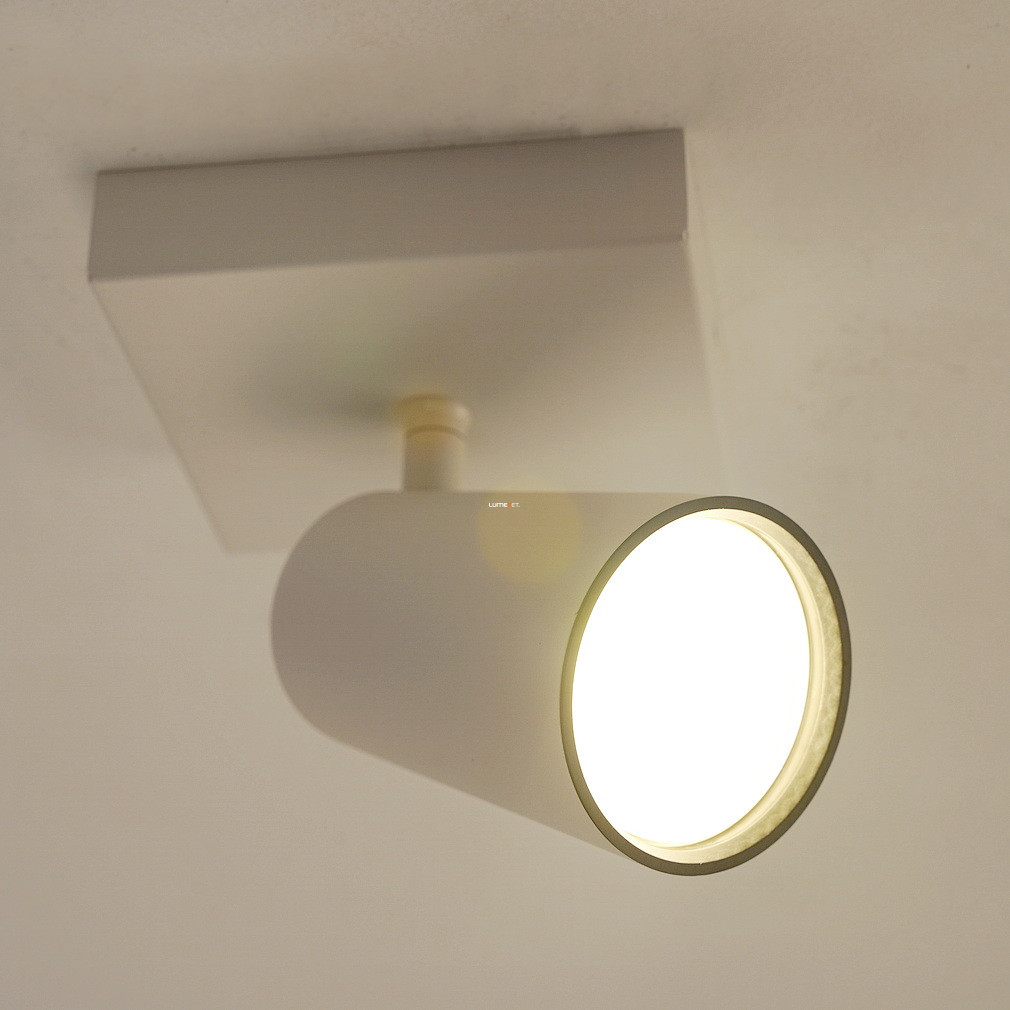 Lampa spot Philips (Paisley)