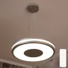Lampă suspendată LED Philips Hue Being White Ambiance, argintiu + comutator cu funcție de reglare a intensității luminoase