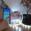 WiZ Bandă LED Wi-Fi 11 W, 880 lm, RGB/2700-6500 K, bandă LED de 1 m (accesoriu)