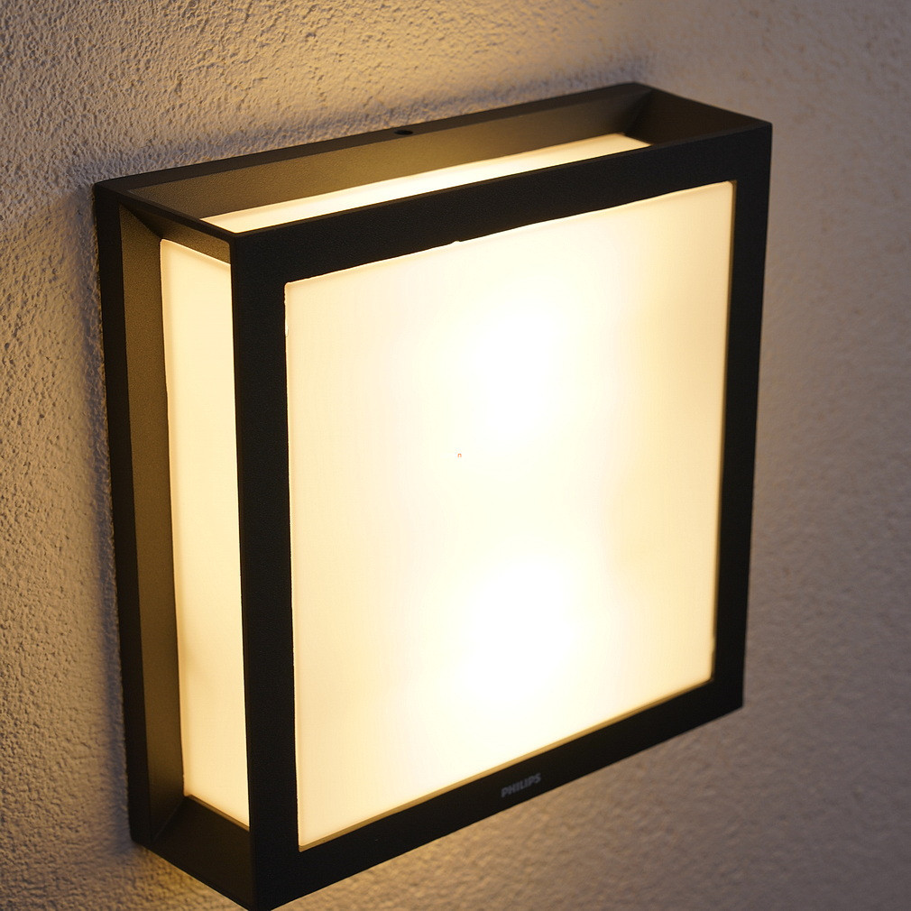 Philips Skies lampă de tavan pentru exterior, antracit, 26 cm