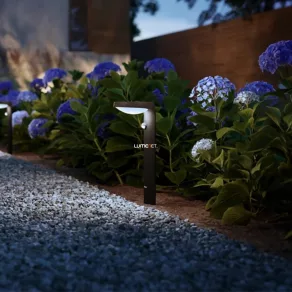   Lampă de podea LED cu senzor de mișcare pentru exterior Philips 9W alb rece 900lm (Tyla)