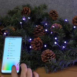 Ghirlande luminoase inteligente pentru exterior WiZ (RGB)