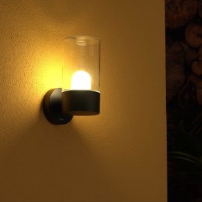   Lampă de perete pentru exterior Philips, sticlă, 27 cm (Flareon)