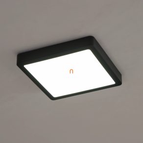   Lampă LED de tavan cu ramă neagră, 21x21 cm, IP44 - Fueva5 Eglo 31202